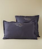 Dans de beaux draps blue pillow case