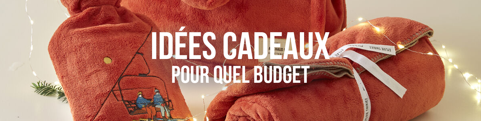 Pour quel budget ? 